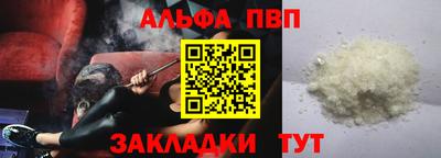 амф Кингисепп