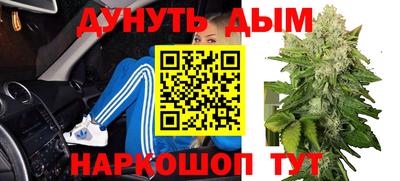 амф Кингисепп