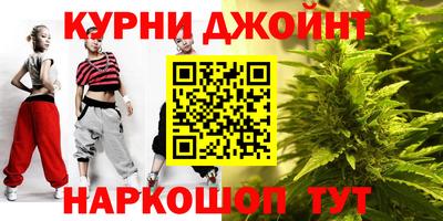 амф Кингисепп