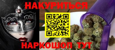 амф Кингисепп
