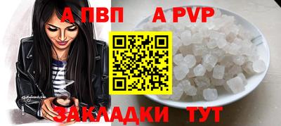 амф Кингисепп